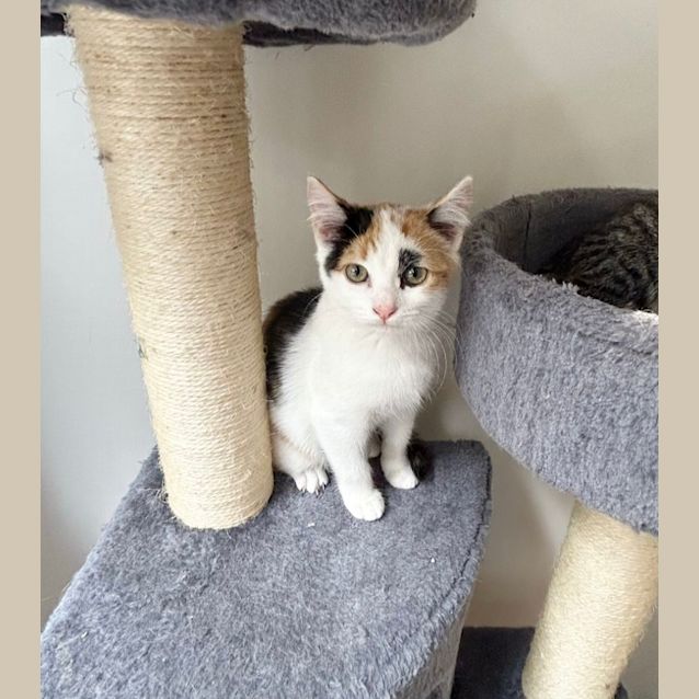 Photo of Delilah ❤️