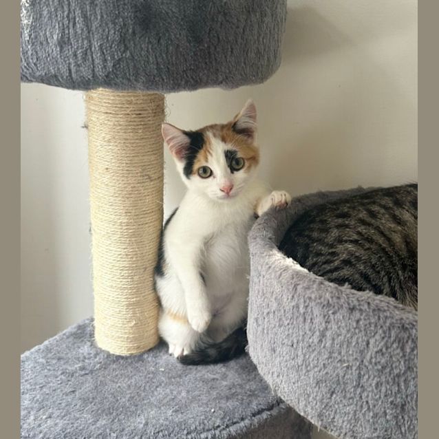 Photo of Delilah ❤️