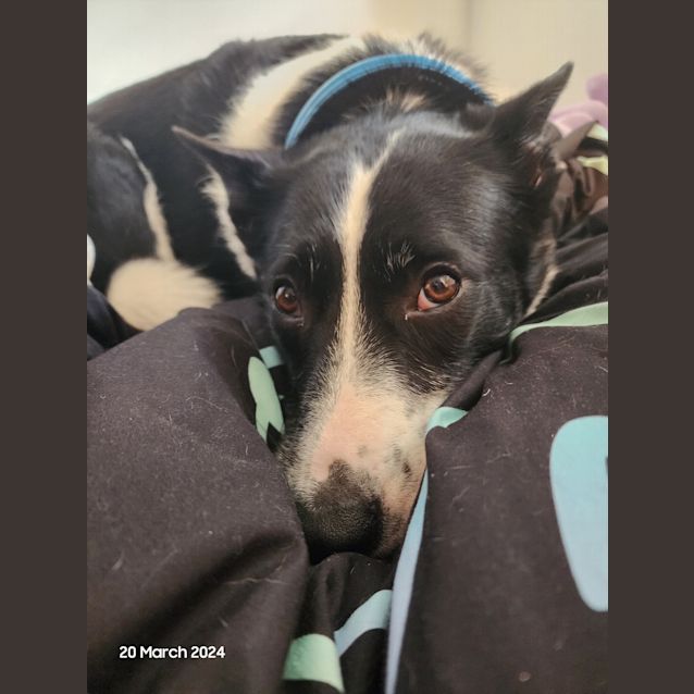 Photo of Gus