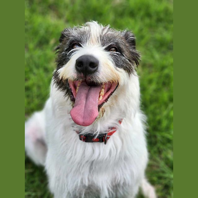 Photo of 🌷 Everlee 5106 🌷