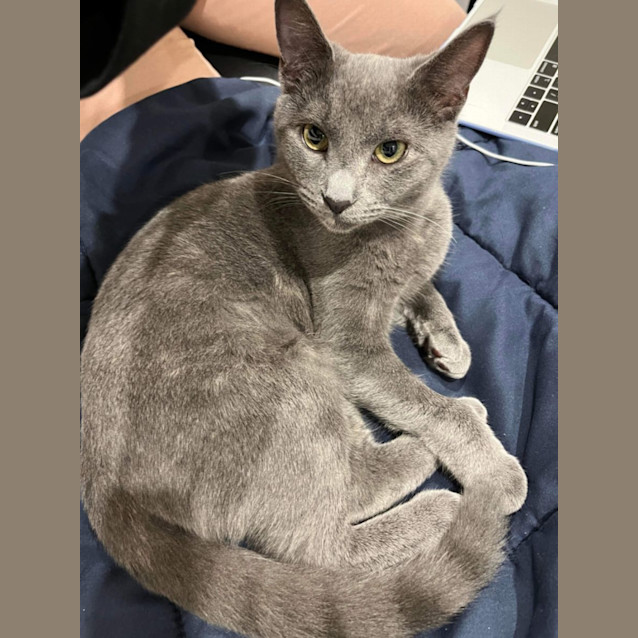 Photo of Bellatrix (Trixie!)