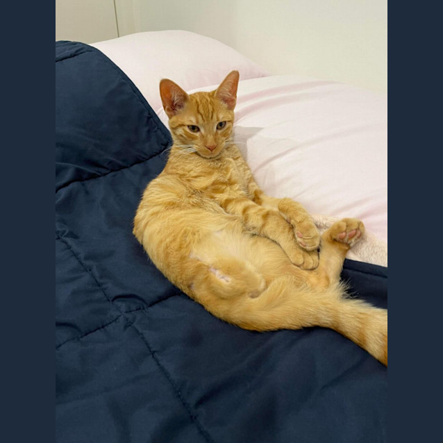 Photo of Fred (Freddie!) 