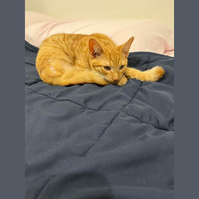 Photo of Fred (Freddie!) 