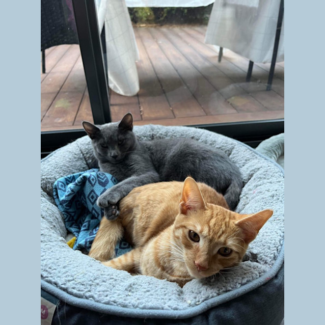 Photo of Fred (Freddie!) 