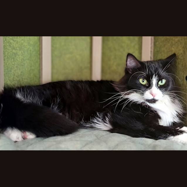 Photo of Miley Sta011954