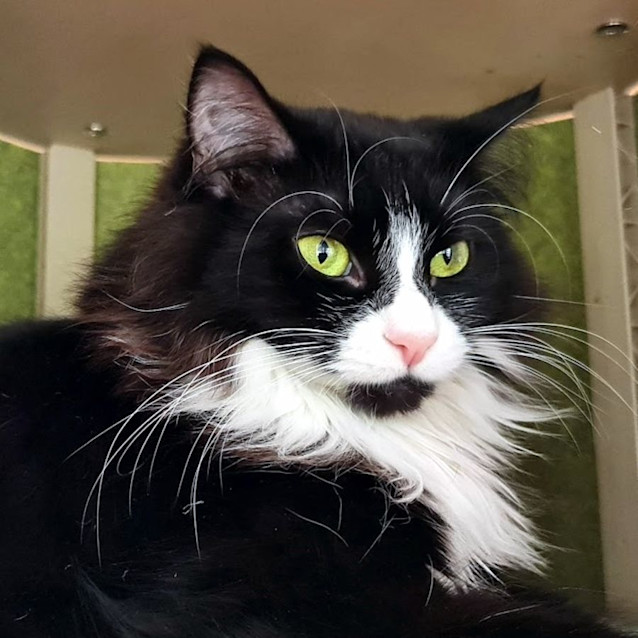 Photo of Miley Sta011954