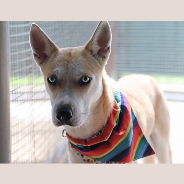 Photo of Maggie