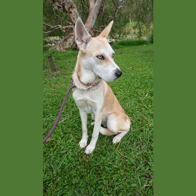 Photo of Maggie