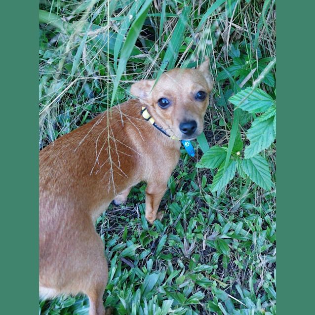 Photo of Sugar