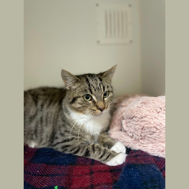 Photo of 🥃 Whiskey 5047 🥃