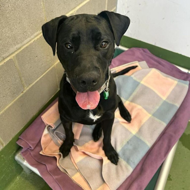 Photo of Buckley