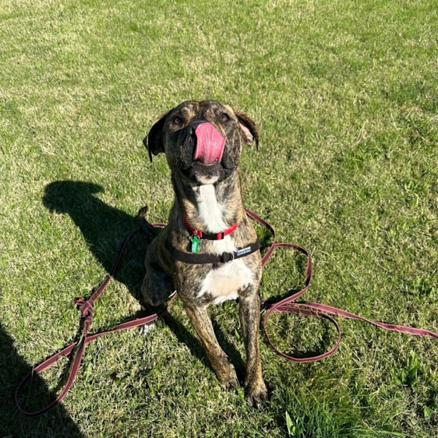 Photo of Duke