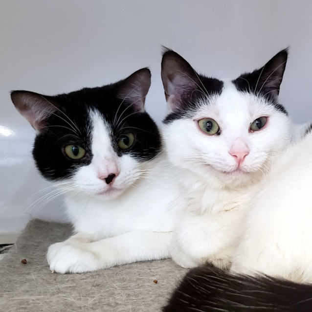 Photo of Humphrey & Spencer