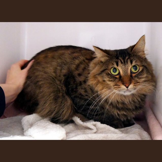 Photo of Ayla Rsuk010359