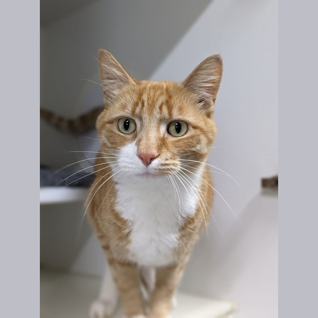 Photo of 🍩 Des 5126 🍩