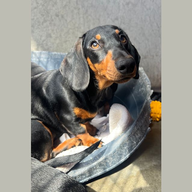 Photo of Brenda