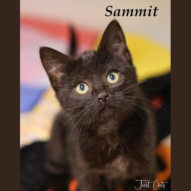 Photo of Summit