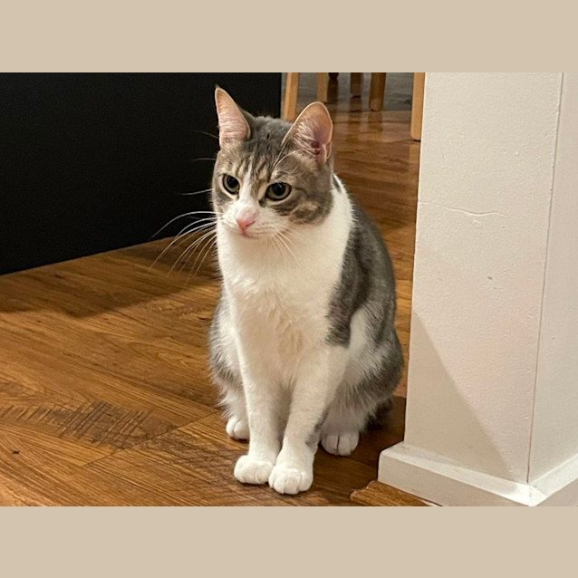 Photo of Tesha & Tori 🌷🌺