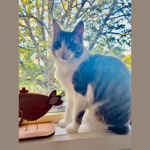 Photo of Tesha & Tori 🌷🌺