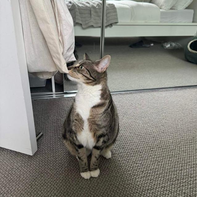 Photo of 🩷Cassi🩷