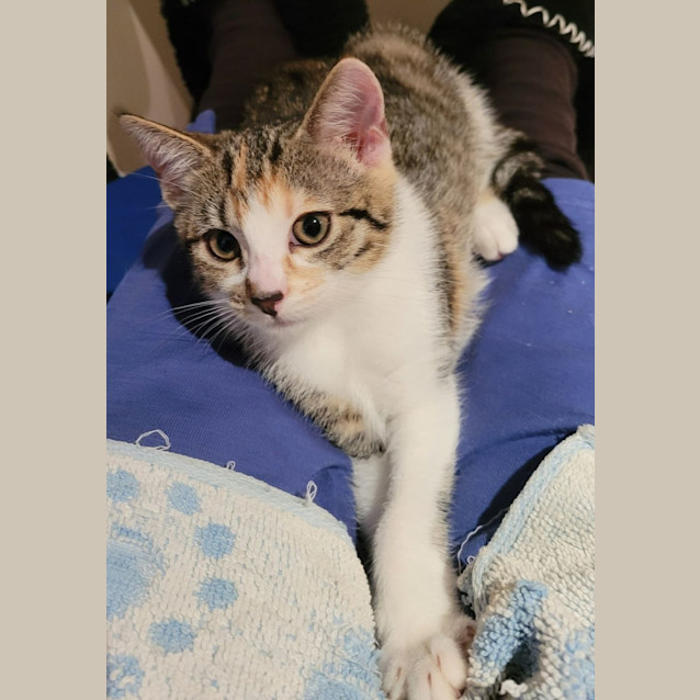 Photo of Lucy