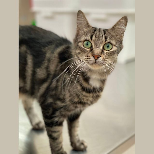 Photo of Marta (6518)