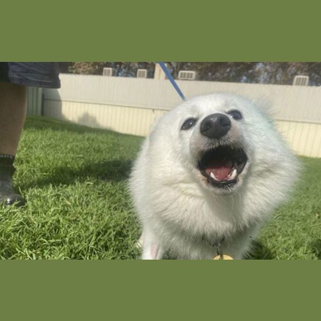 Photo of Bonnie