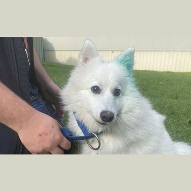 Photo of Bonnie