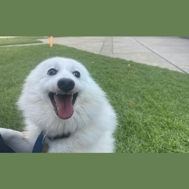 Photo of Bonnie