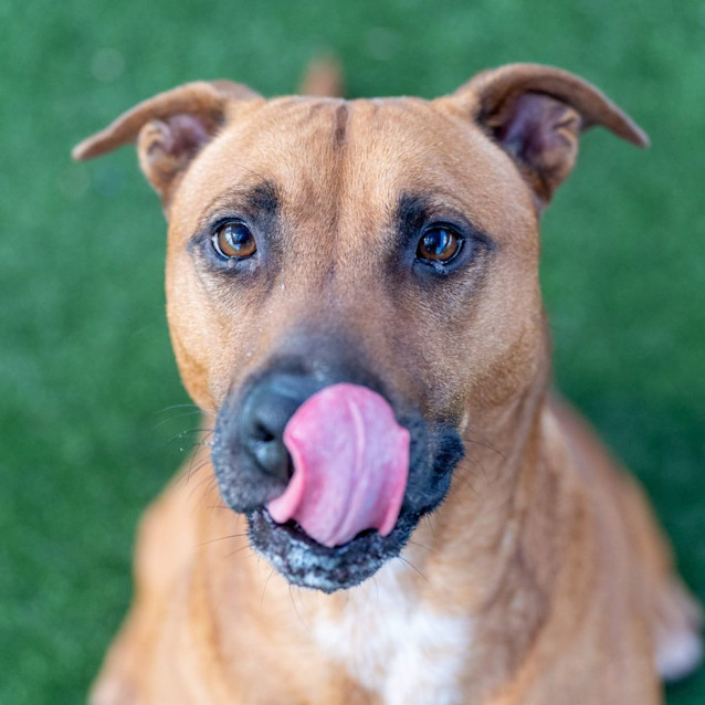 Photo of Brae Imp 2254