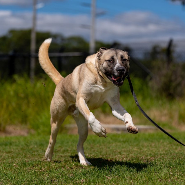 Photo of Clive Imp 18