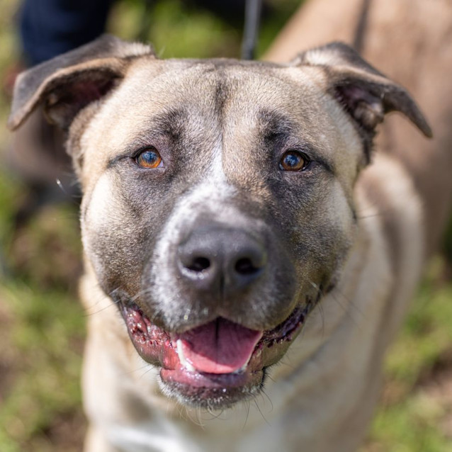 Photo of Clive Imp 18