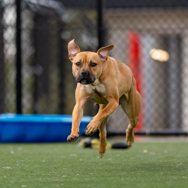 Photo of Molly Imp 20