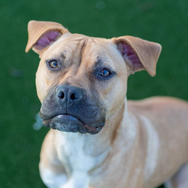 Photo of Molly Imp 20