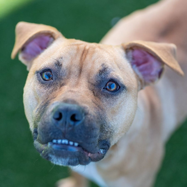 Photo of Molly Imp 20