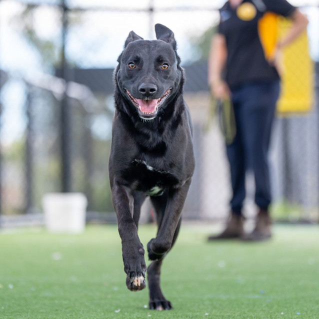 Photo of Alfie Imp 2419