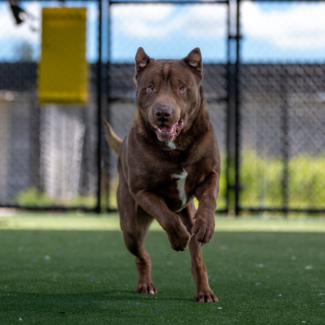 Photo of Magnus Imp 2234