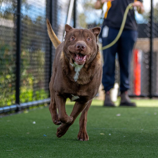 Photo of Magnus Imp 2234