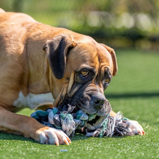 Photo of Winnie Imp 1379