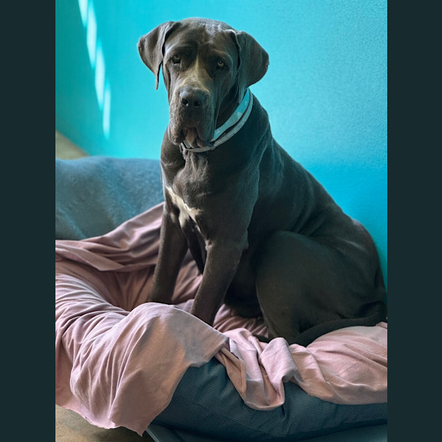 Photo of Kyla