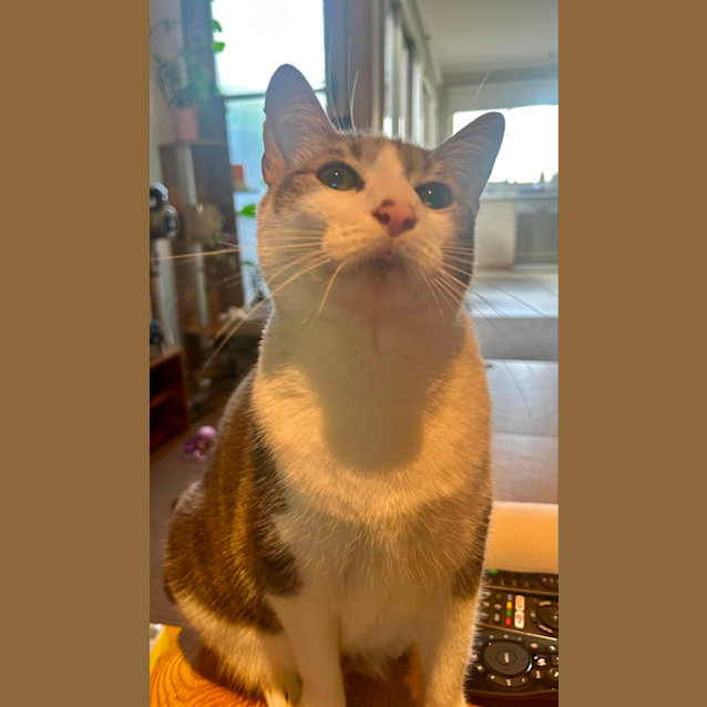 Photo of Monique   Located In Port Melbourne