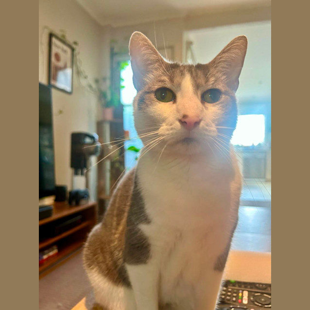 Photo of Monique   Located In Port Melbourne