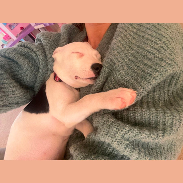 Photo of Jelly Beanz