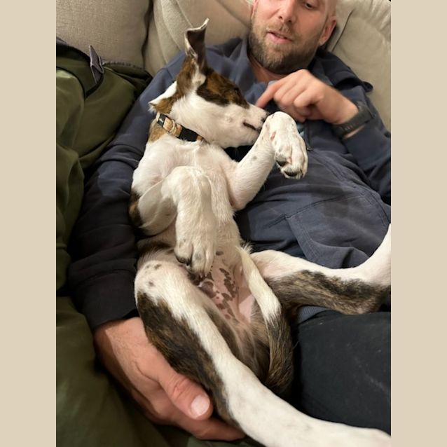 Photo of Neville 
