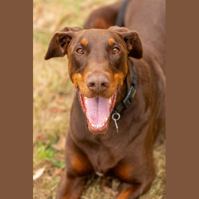 Photo of Sir Charles