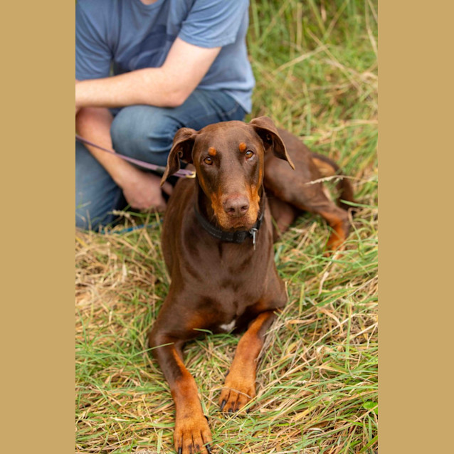 Photo of Sir Charles