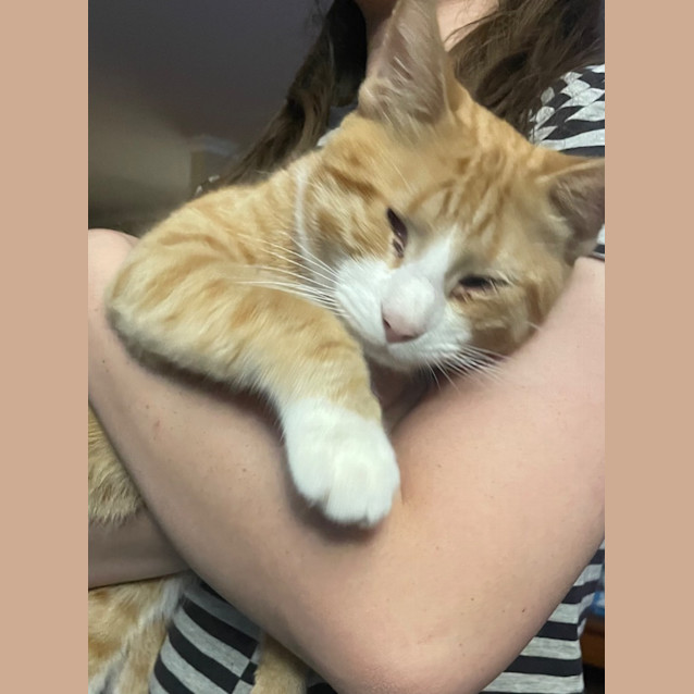 Photo of Captain Morgan