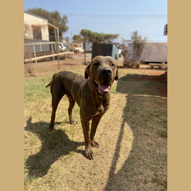 Photo of Major