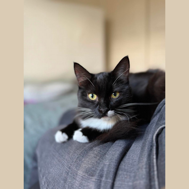 Photo of Chicken Wing