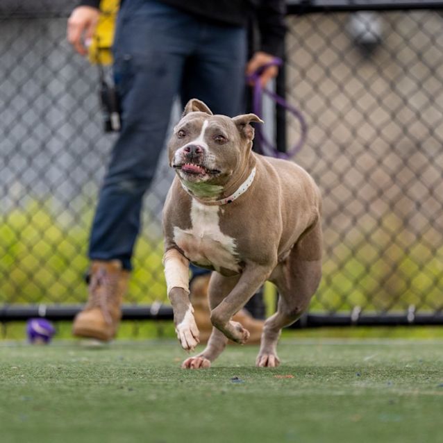 Photo of Milly Imp250